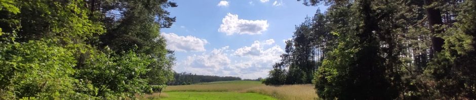 PRACOWNIA BADAŃ KLIMATU, Katedra Oceanografii Fizycznej i Badań Klimatu  Uniwersytetu Gdańskiego